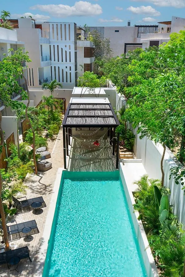 Apartment 2 Bedbath Private Rooftop & Pool For 6 Tulum