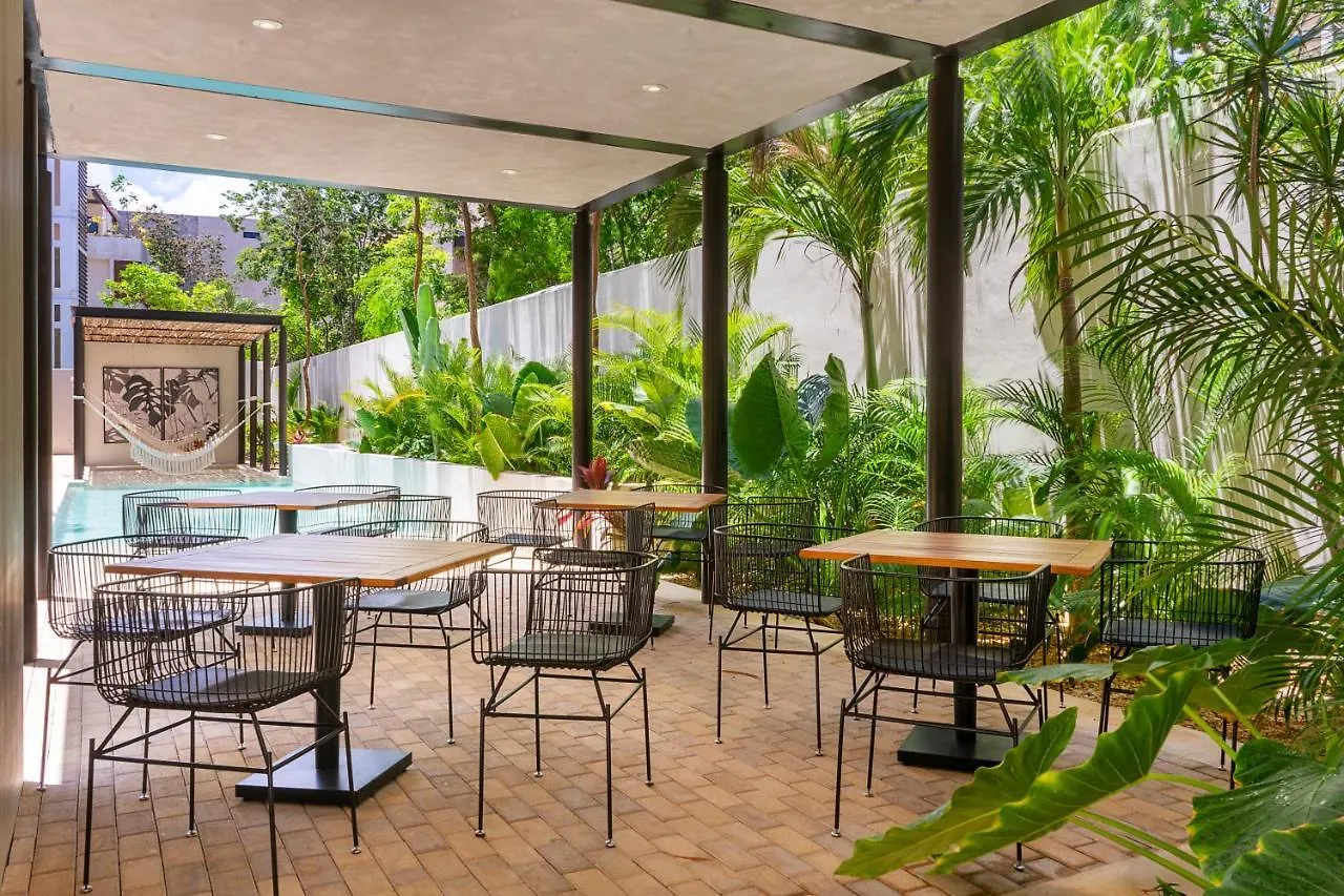 Apartment 2 Bedbath Private Rooftop & Pool For 6 Tulum